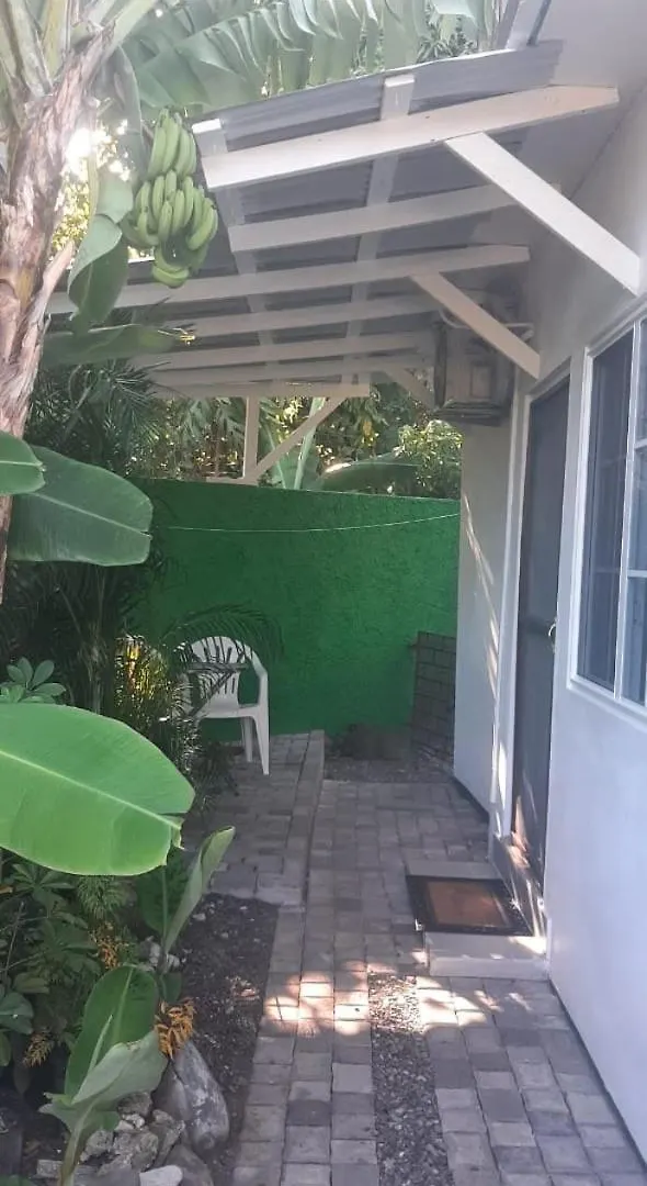 Centrally Located Room - 5 Port Antonio Homestay